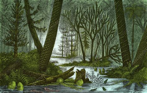 carboniferous period forests